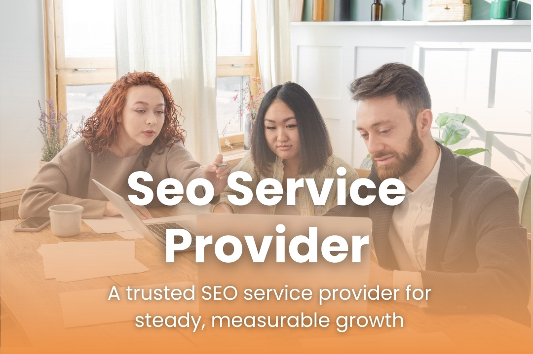 SEO Service Provider